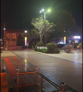 呂梁文水縣廣場景觀亮化燈廠家定制