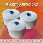 環(huán)錠紡t65/c3532支2股滌棉合股紗線倍捻紗滌棉混紡紗