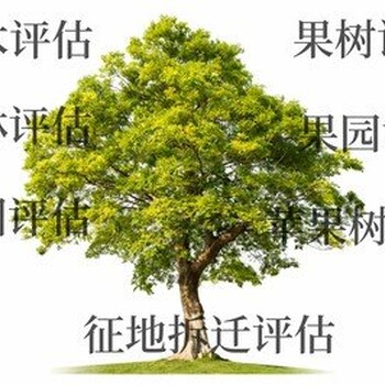 上饒樹木價值評估，金絲楠木價值評估，樟樹價值評估
