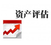 芜湖公司实缴注册资本评估，技术出资评估