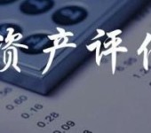 上海无形资产出资评估，技术出资评估