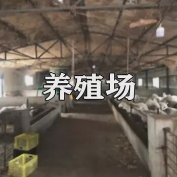 石家莊紅鯽魚場拆遷，中國金魚場拆遷，全國養(yǎng)殖場資產評估