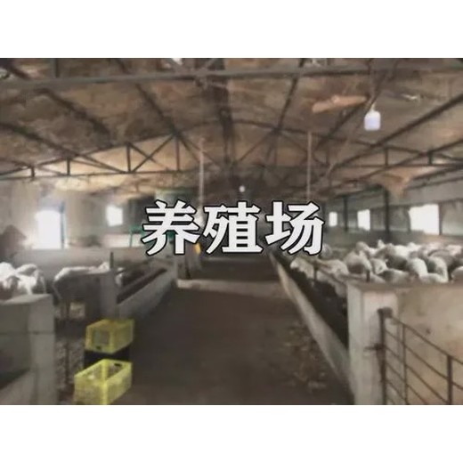 樂山養殖場評估，養豬場拆遷評估，養雞場拆遷評估