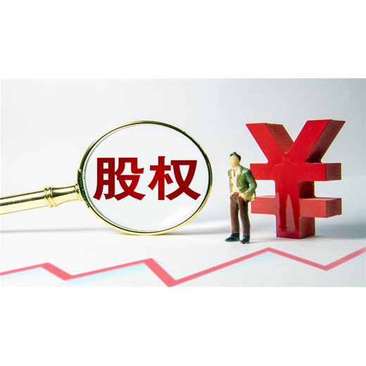 廈門公司股權評估,公司股權價值評估