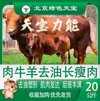 二月二龍?zhí)ь^，牛羊進(jìn)入到快速催肥階段