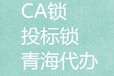 办理青海省内企业招投标CA锁、代办做标书和报名，