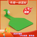 牛耳標(biāo)牌定制