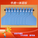 牛耳標(biāo)一體新款中號小號牛用