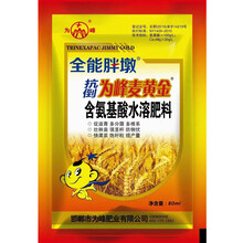 麥黃金瓶裝大包裝胖墩小麥麥黃金
