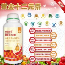  Tips: Golden Twelve Element Multi element Foliar Fertilizer is Fengfei Foliar Fertilizer Multi element Fertilizer