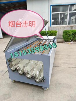 山東全自動(dòng)毛輥噴淋式果蔬清洗加工設備廠(chǎng)家
