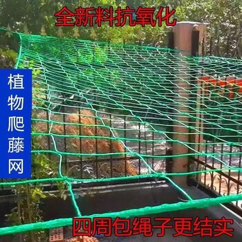 丝瓜苦瓜爬藤网园艺花卉攀爬网塑料编织大孔种植用搭架网订做