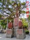 舉重 (9)