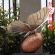 蝴蝶 (1)