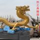 金龍 (12)