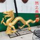 金龍 (15)