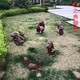 松鼠 (1)