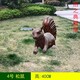 松鼠 (4)