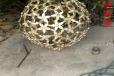 铸铜镂空球铜雕塑球类常用提供镂空球铜雕塑规格