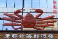 龙虾雕塑厂家虾类景观建筑不锈钢龙虾雕塑展示