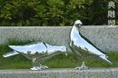 白鸽雕塑厂家-孕育主题雕塑-不锈钢白鸽雕塑标识
