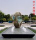 雞蛋 (9)