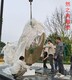 雞蛋 (10)