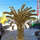 麥穗 (10)