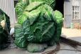 白菜雕塑厂家通用-果蔬景观元素-仿真白菜雕塑