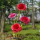 玫瑰花 (1)