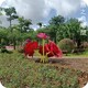 玫瑰花 (3)