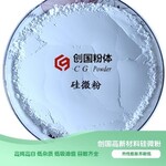 創國高新材料粉末涂料用硅微粉