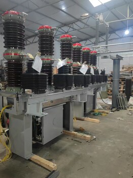 LW16-40.5/1250-31.5戶外40.5KV六氟化硫斷路器祝捷
