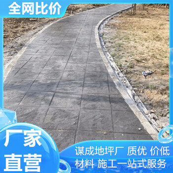 合肥宿州藝術(shù)混凝土壓印地坪園路
