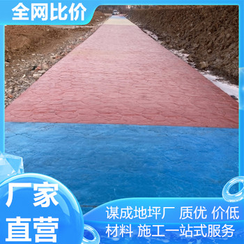 合肥宿州藝術(shù)混凝土壓印地坪園路
