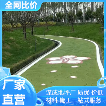 合肥宿州藝術(shù)混凝土壓印地坪園路