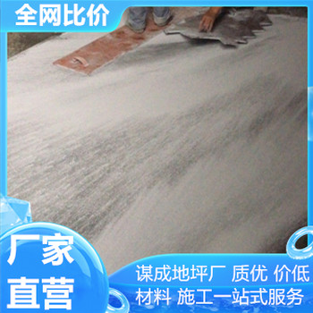 六安巢湖水泥混凝土壓印路面園路