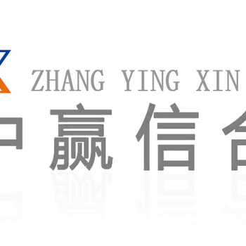 中國天然氣終端銷售市場前景預(yù)測及投資競爭力調(diào)研報告2024年