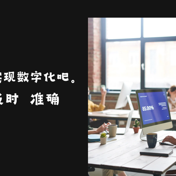 中國酸洗劑市場營銷戰略與投資盈利分析報告2024-2030年