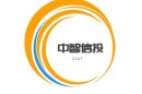 中国聚氨酯胶粘剂行业发展战略规划及发展方向分析报告2024