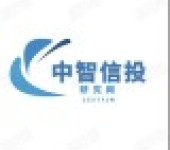 中国铁基纳米晶软磁材料市场发展形势及投资战略规划分析报告
