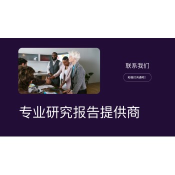 2024-2030年中国羟乙基huang酸na行业前景预测及投资风险研究报告