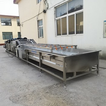 醬菜氣泡清洗機腌漬菜氣泡清洗機泡菜脫鹽機生產廠家