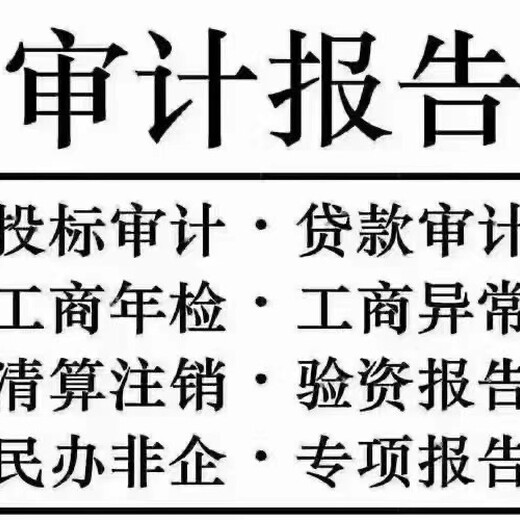廣州出具財(cái)務(wù)審計(jì)報(bào)告/企業(yè)財(cái)務(wù)審計(jì)報(bào)告用途