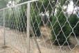 河北三角折弯护栏网厂家供应日照家禽围栏网莱芜钢丝围栏网