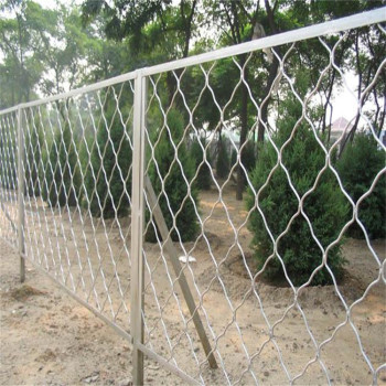 河北飞机场护栏网厂家供应大庆景区围栏伊春公路绿化网