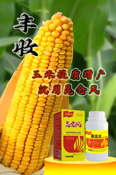 玉米增產增收用什么玉米葉面肥