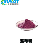 水溶性蓝莓粉食品级果蔬代餐粉水溶好蓝莓果汁粉