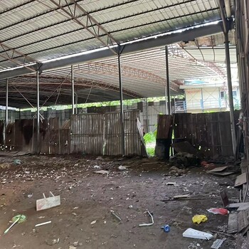 佛岡鋼棚鐵皮廠房回收施工處理-清遠制藥廠不銹鋼設(shè)備回收