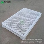 多功能單凍盤龍蝦盤晾曬塑料盤